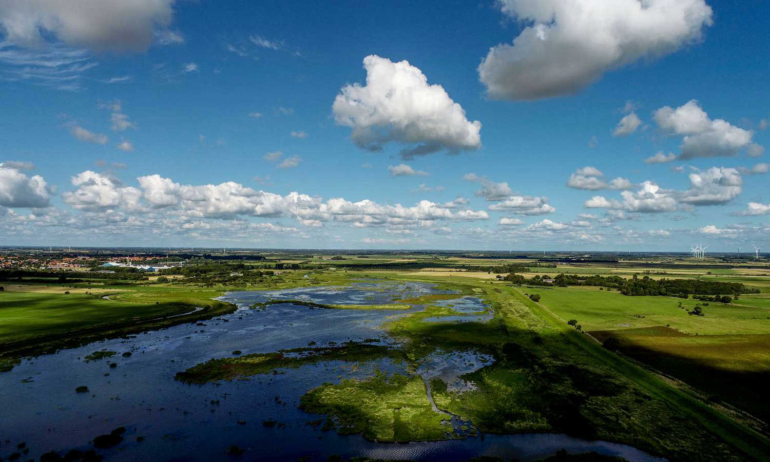 Oversigtbillede over Tøndermarsken en sommerdag