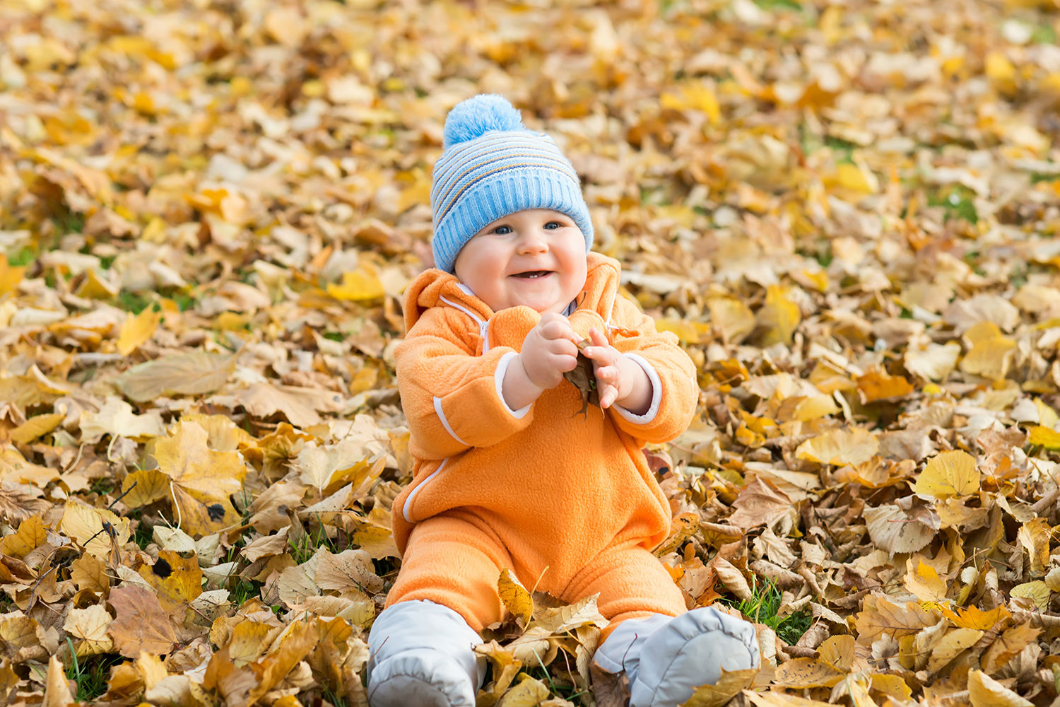Lille glad dreng, der sidder og leger med efterårsblade