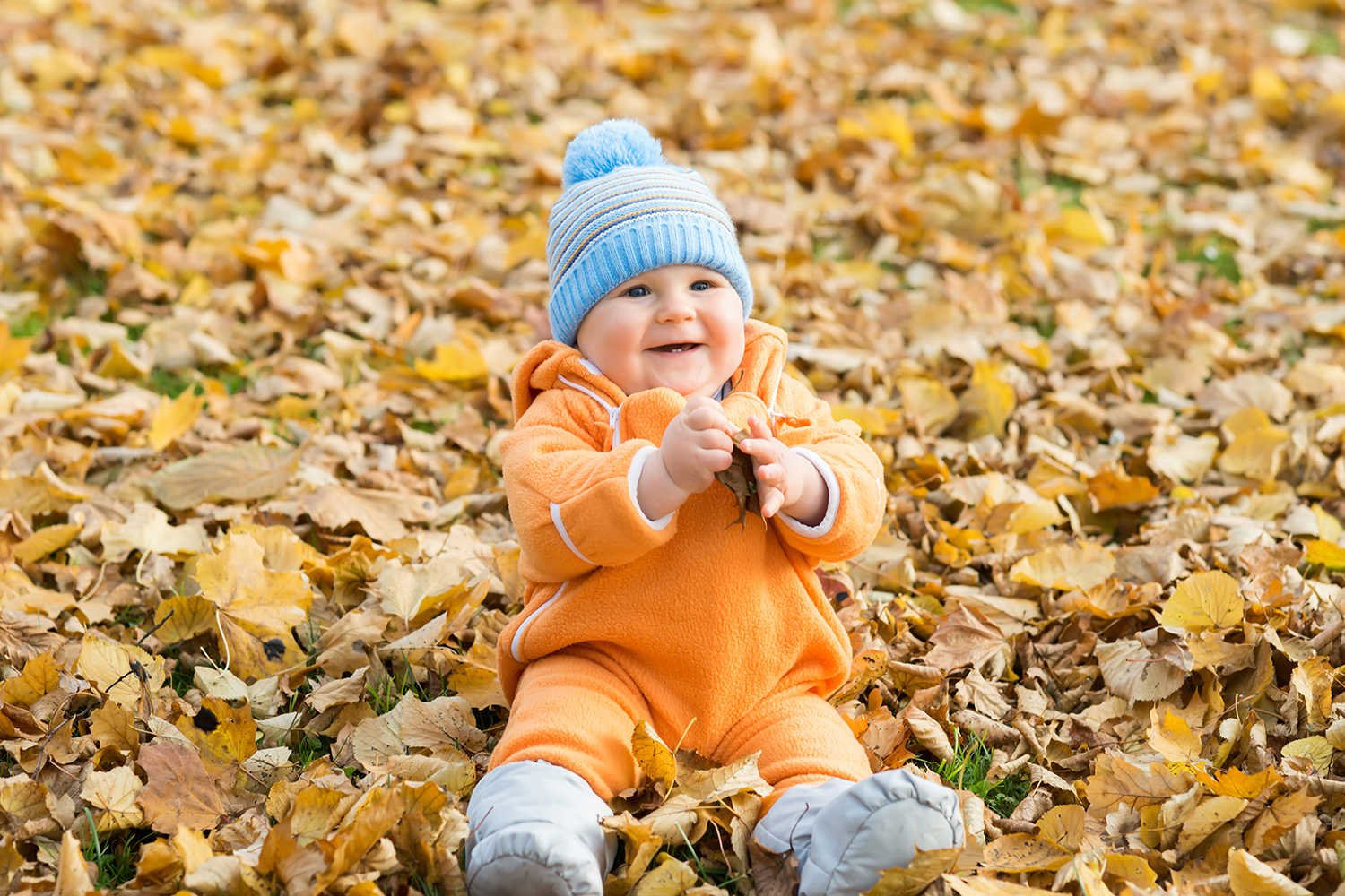 Lille glad dreng, der sidder og leger med efterårsblade