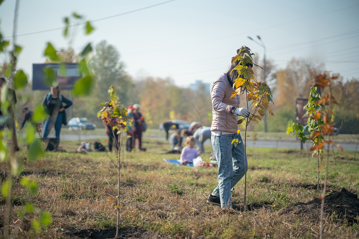 Mennesker der i gang med at plante træer