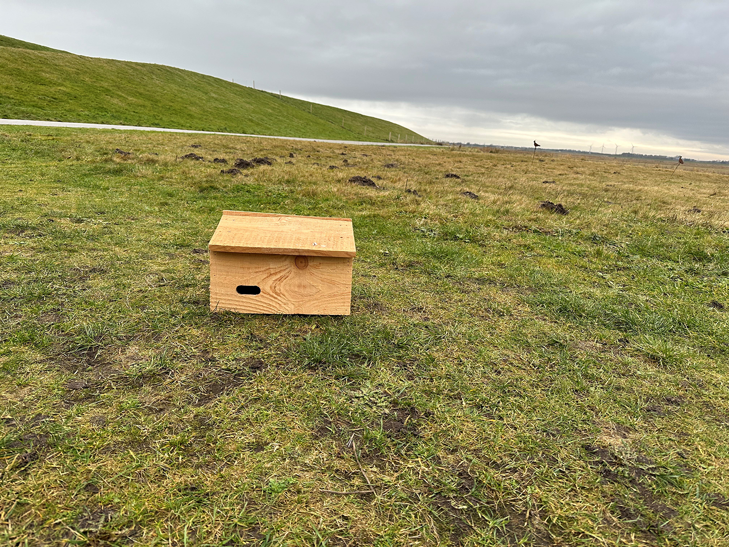 Redekasse til mursejlere