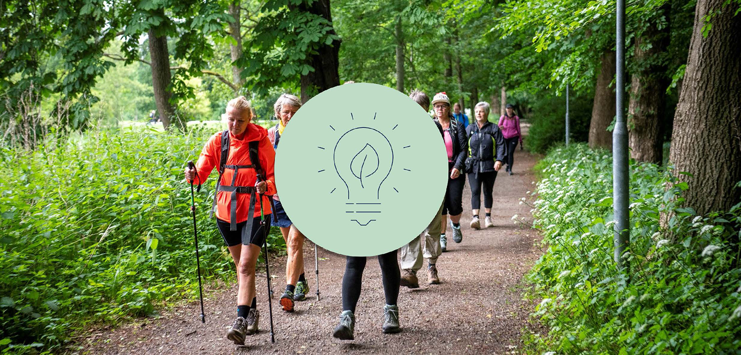 Mennesker på gåtur i skoven