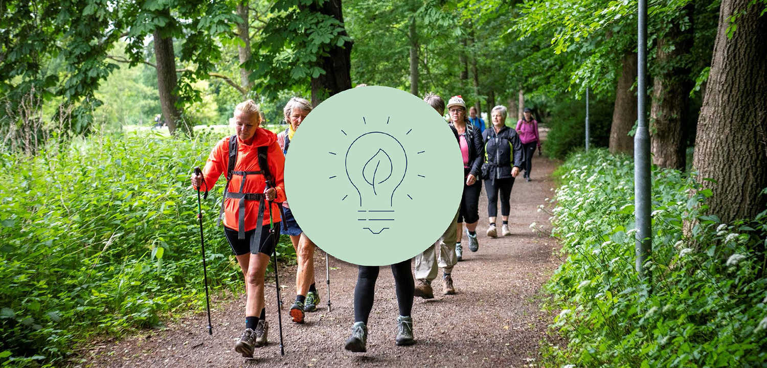 Mennesker på gåtur i skoven