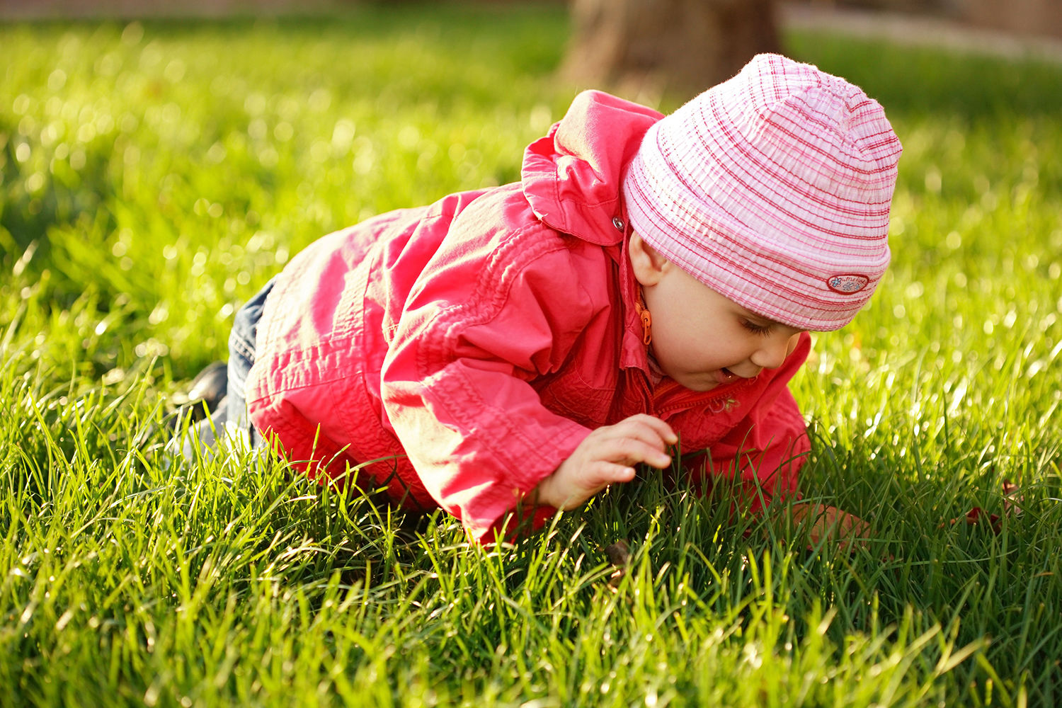 Baby der kravler i græsset