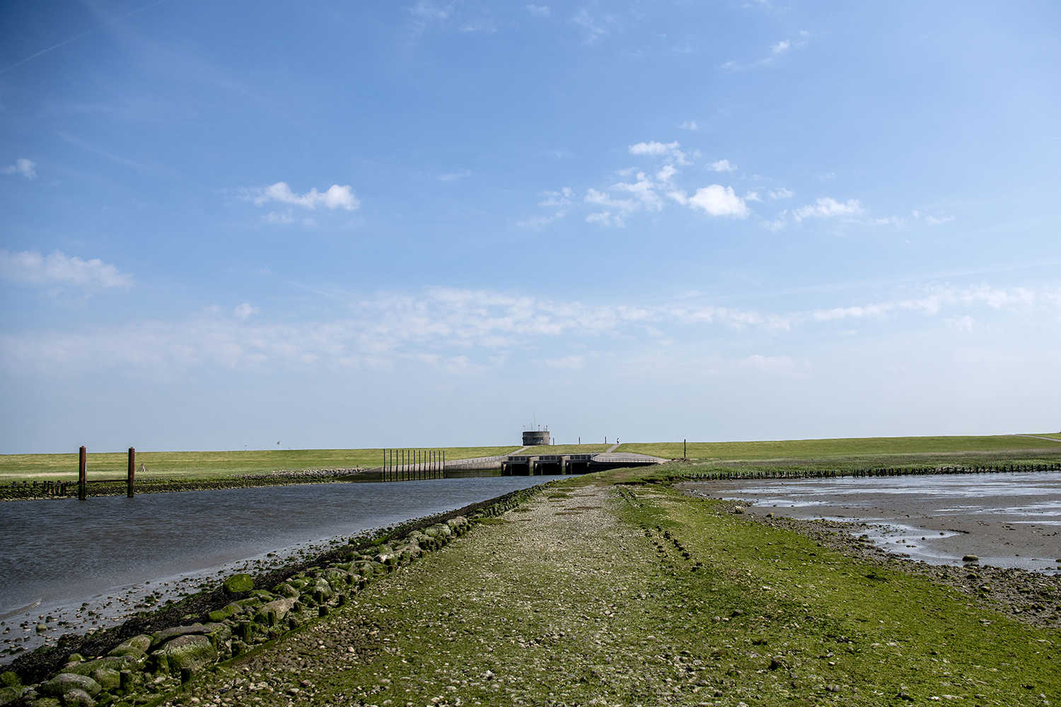 Vidåen ved Højer Sluse