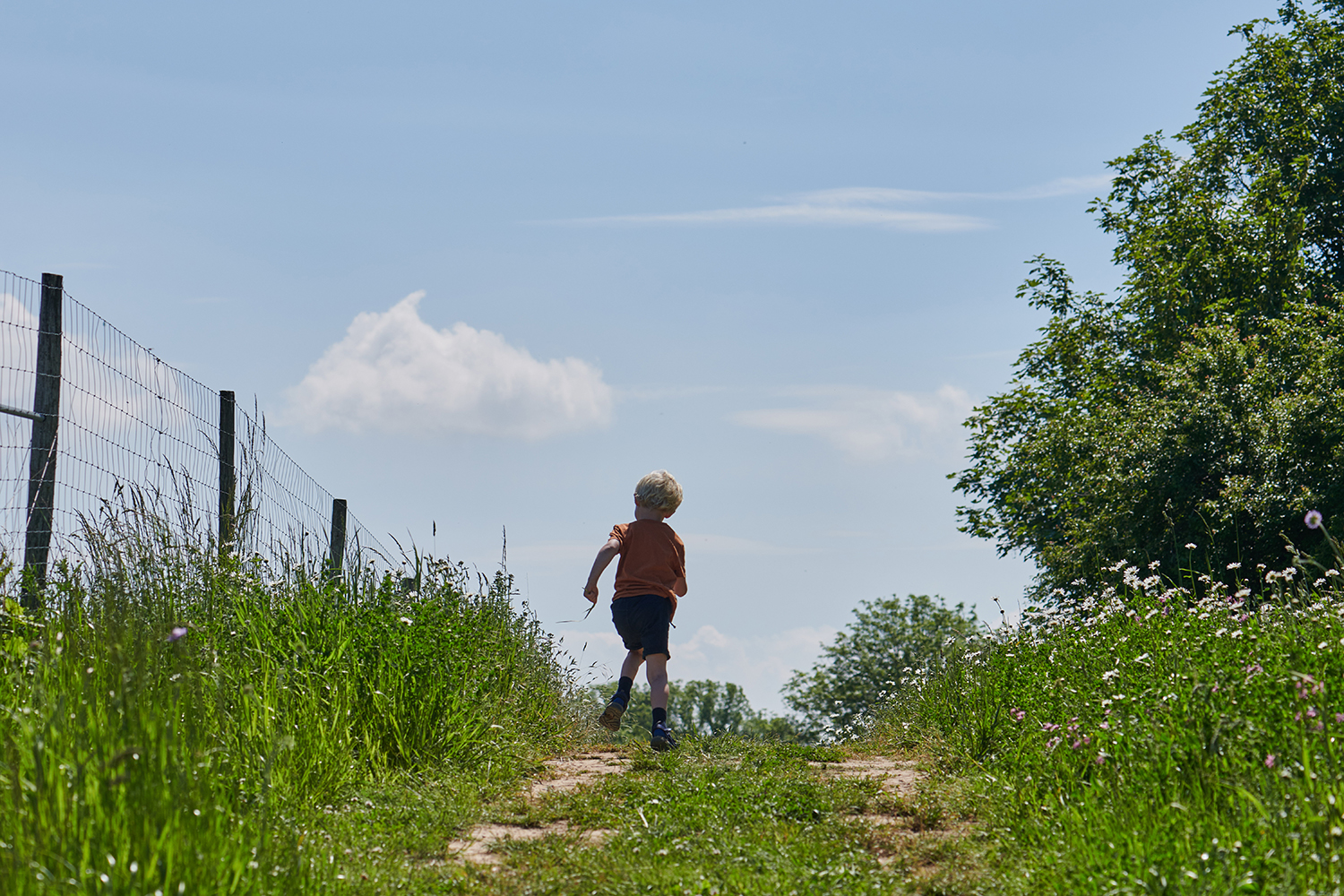 Dreng der løber  på en marksti